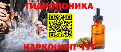 прущие крисы Аргун